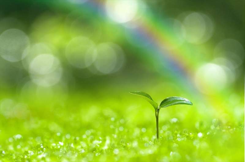 チャット相談②